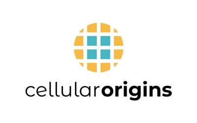 Cellular Origins and 3P innovation collaborate to accelerate industrialisation of CGT manufacturing